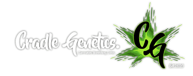 Cradle Genetics
